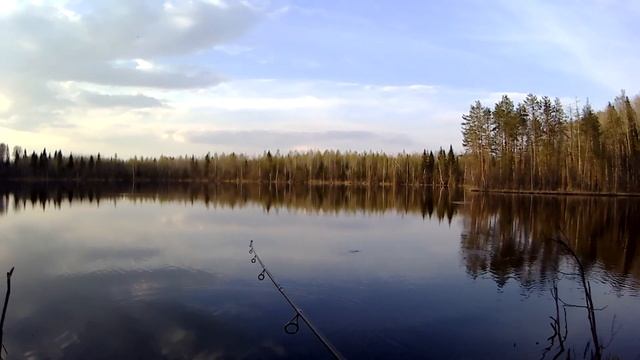 #Рыбалка_на_лесном_озере #Рыбалка_2019 #Весенняя_рыбалка #Рыбалка_со_спинингом