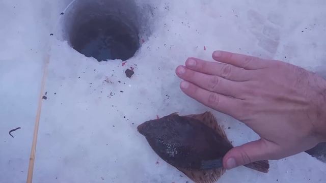 Рыбалка.Сухое море смотреть онлайн