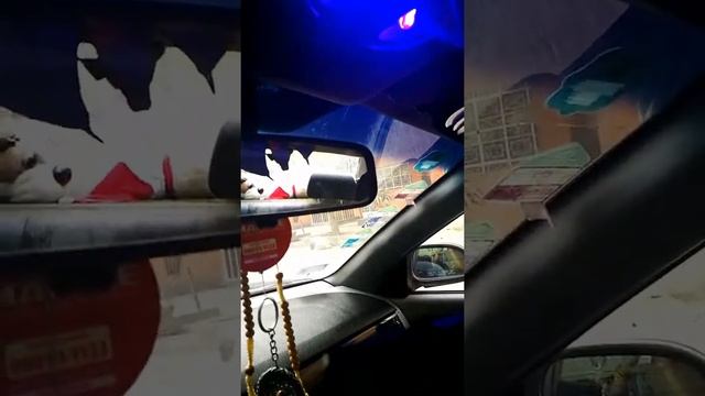 Luz led T10 multi-color para luz chica o luz de salón смотреть онлайн