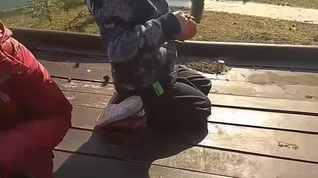 Наши путешествия. База отдыха Чайка. Калужская область. смотреть онлайн