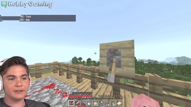 Pig Emperor's NEW Clothes Part 6 on HobbyGaming смотреть онлайн