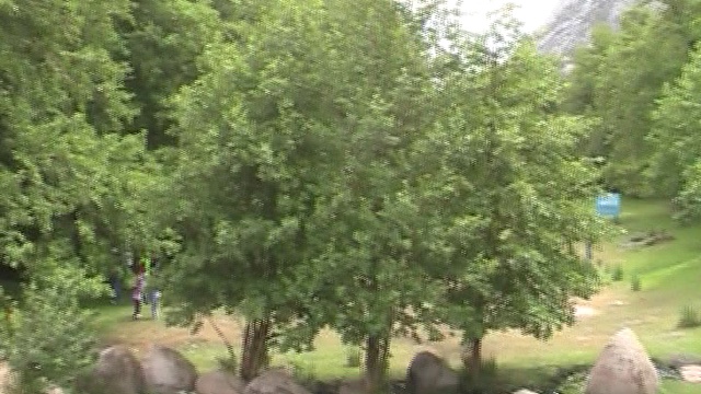 MOV04A смотреть онлайн