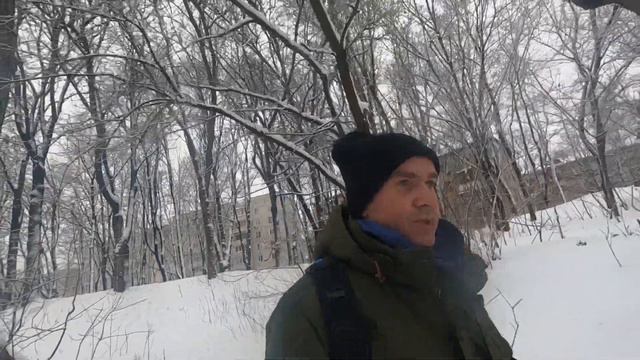 тренировка питбуля смотреть онлайн