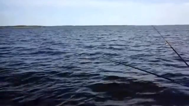 лов камбалы под кумбышем смотреть онлайн