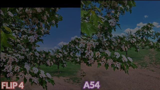 Galaxy Z FLIP 4 VS A54: (In-Depth Comparison) -Entry level High-End or Mid-Range High End?!!! смотреть онлайн