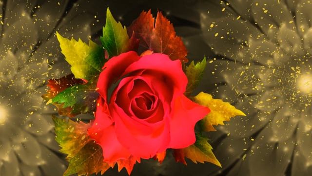 Красивый осенний футаж для поздравлений!!! Бесплатно!!! смотреть онлайн