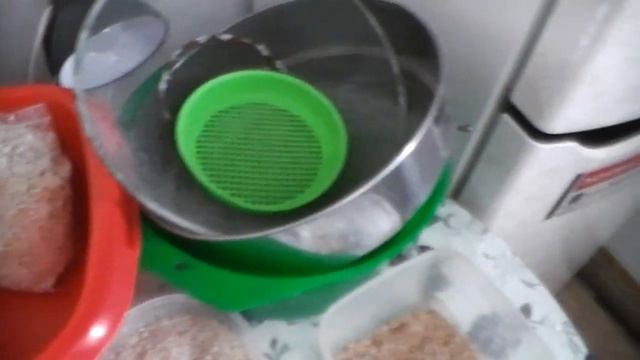 Мучной червь.Как правильно разводить. смотреть онлайн