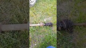 Как снять рулевую рейку на автомабиле ока