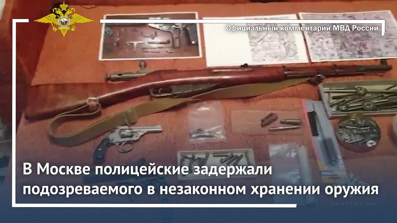 Ирина Волк: В Москве полицейские задержали подозреваемого в незаконном хранении оружия смотреть онлайн