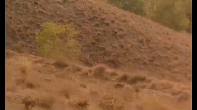 Отрывок из к/ф Вкус Вишни . смотреть онлайн