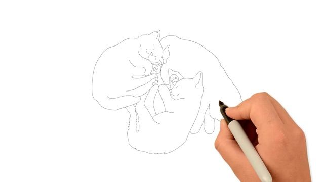 Classic Music For Inspiration. Tchaikovsky Pyotr.Symphony No.6  Music And Art For Soul