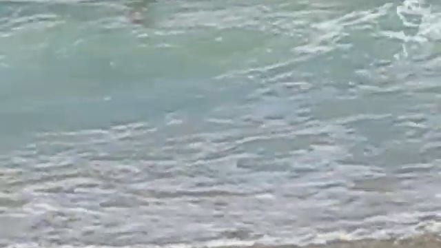Kyle and Steven Bodyboarding in Hawaii смотреть онлайн