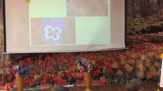 Игра Викторина Любимый цветок смотреть онлайн
