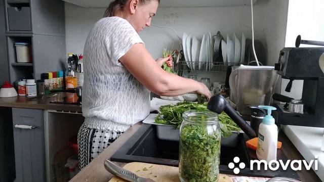 щавель на зиму.