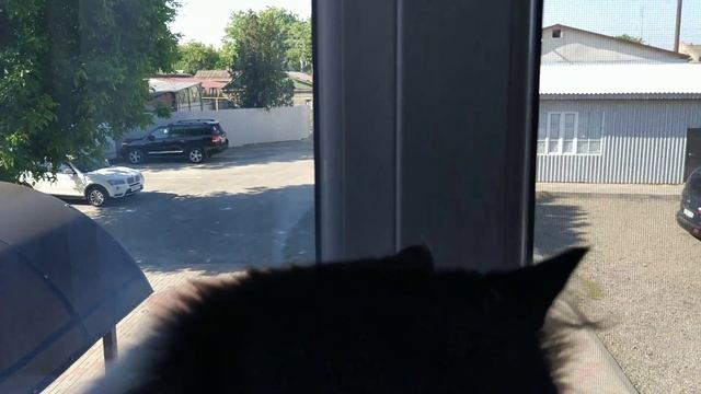 ?Отель по дороге на юг. (Крым, Красн.край) Аюта. Шахты. Миниобзор смотреть онлайн