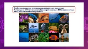 Почему нужно бережно относиться к окружающей среде