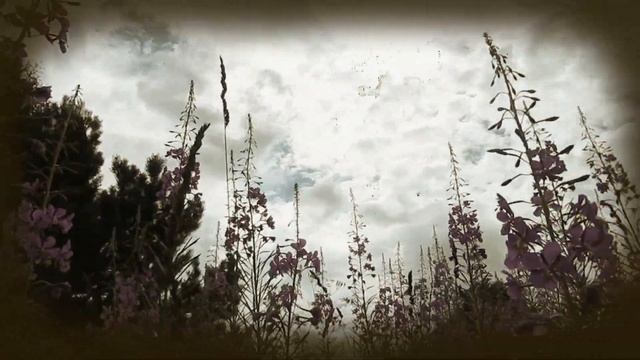 Притяжение сердец - Марина Кузнецова смотреть онлайн