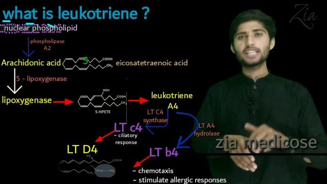 Montiget 10mg Tablet Uses | Montiget Tablet Uses In Urdu | Montiget Montelukast Sodium | Montiget