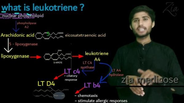 montiget 10mg tablet uses | montiget tablet uses in urdu | montiget montelukast sodium | montiget