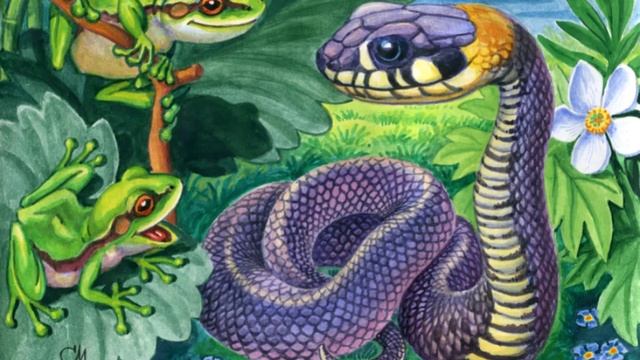 Как наши предки спасались от змей... Заговоры смотреть онлайн