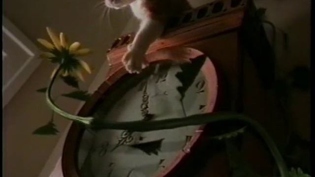 Zyrtec (1999) смотреть онлайн