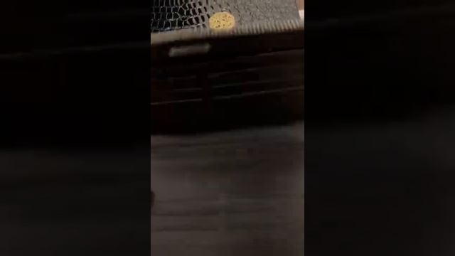 Портмоне Stefano Ricci смотреть онлайн