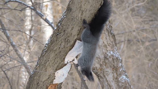 За полчаса до Весны смотреть онлайн