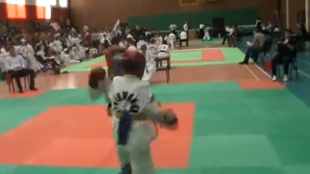 тхэквондо гтф смотреть онлайн