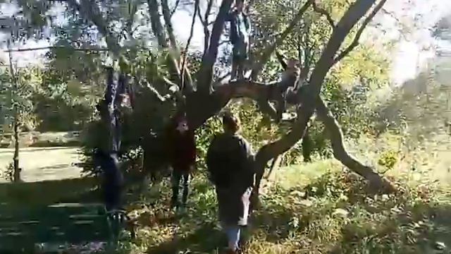 Поездка в Мелихово смотреть онлайн