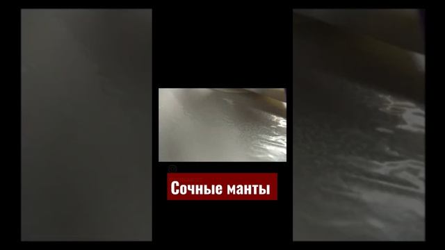 Манты тесто . Домашний рецепт смотреть онлайн