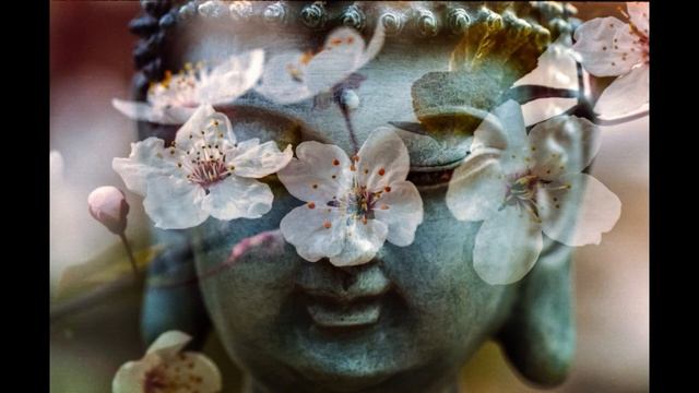 SERENE OM Shanti OM Indian Chant Meditation смотреть онлайн