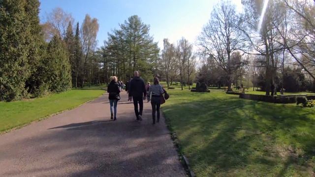 VLOG: КОПЕНГАГЕН. Аллея сакур на кладбище Бисперберг и церковь Грунтвига (Grundtvigs kirke) смотреть онлайн