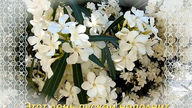 Поздравления с Днем Рождения?Пожелания с Днем Рождения?Красивые Цветы с Днем Рождения