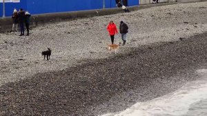 ИРЛАНДИЯ. Как живут эмигранты в Ирландии. Парк Килларни. Атлантический океан. Ladies View