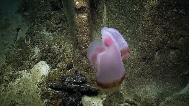 Anthony Rother - The Abyss (pt15) смотреть онлайн