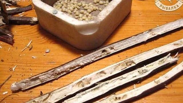 Репейник / личинка репейной моли смотреть онлайн