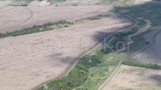 ❗️Бойцы отряда «Скиф» бригады «Терек» Добровольческого корпуса поразили живую силу противника в лесо смотреть онлайн