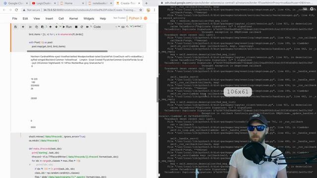 Using a Model to Filter Training Data - FL Bird Model UNABRIDGED смотреть онлайн