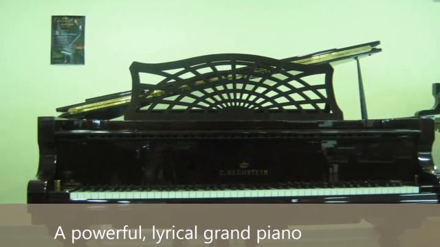 C Bechstein MP192 Polished Vavona смотреть онлайн
