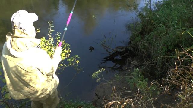 Летняя мормышка,глухая оснастка,малая река , сентябрь.. смотреть онлайн