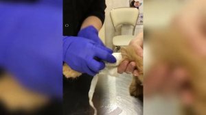 Как снять катетер дома