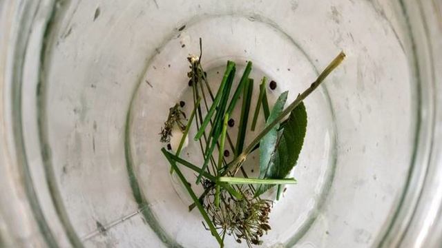 Рецепты от шеф-повара