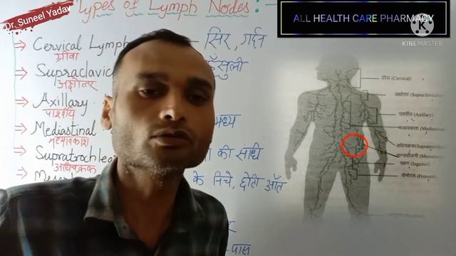 Types of Lymph Nodes | लसिका नोड्स के प्रकार | Lymphatic System | लसीका तंत्र смотреть онлайн