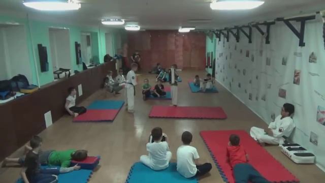 Климовская Федерация Киокусинкай Каратэ. Западная, 12. Тренировки октябрь 2017 года смотреть онлайн