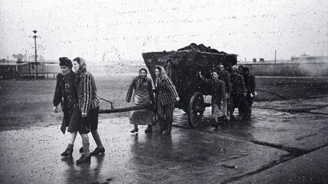 список шиндлера.wmv смотреть онлайн