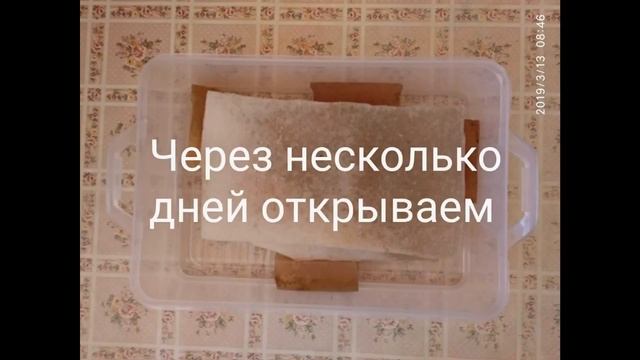 Разведение аулофоруса. смотреть онлайн