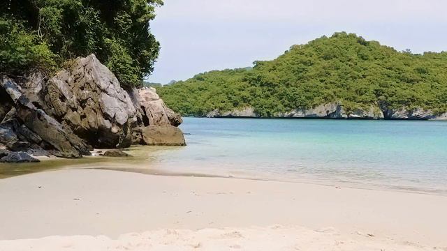 Narcissus | Relaxing music смотреть онлайн