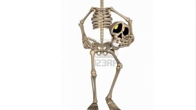 The Sound Skeleton смотреть онлайн