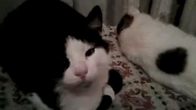 муж жена и брат жены смотреть онлайн