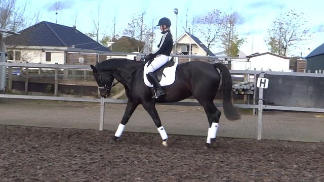 Stap van Samba смотреть онлайн